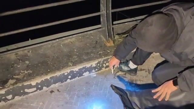 Ночной проход по мосту у залива Шэньчжэнь и разговор о наживке