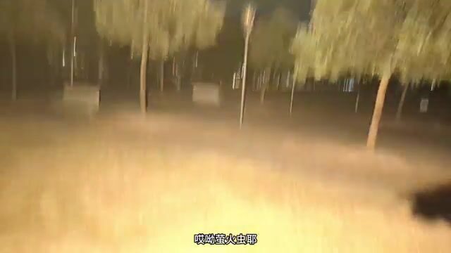 Ночной проход по мосту у залива Шэньчжэнь и разговор о наживке