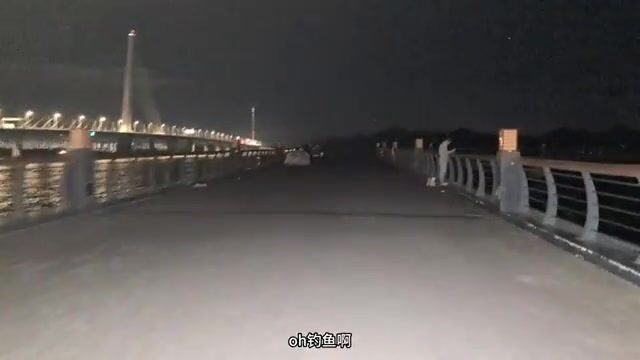 Ночной проход по мосту у залива Шэньчжэнь и разговор о наживке