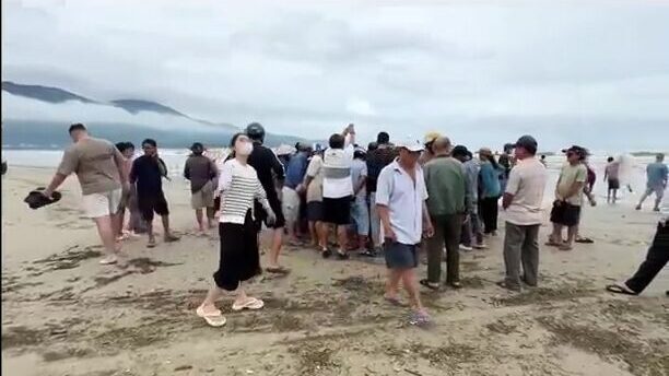 После тайфуна на пляже Микхе в Дананге местные снова тянут невод