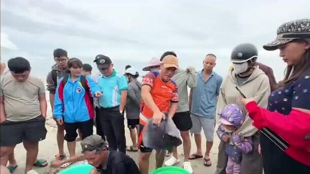 После тайфуна на пляже Микхе в Дананге местные снова тянут невод