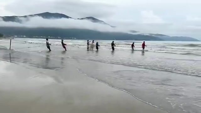 После тайфуна на пляже Микхе в Дананге местные снова тянут невод