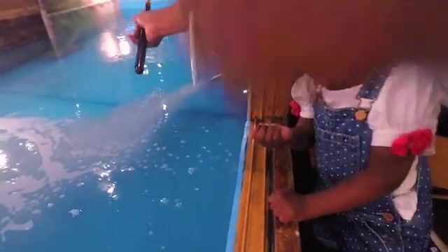 В осакском ресторане Zauo мы сначала поймали рыбу, а потом нам её приготовили