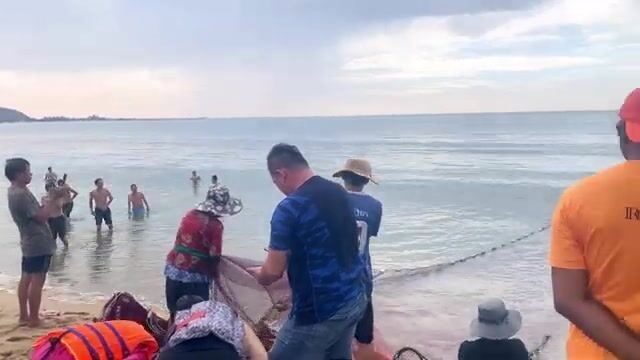 Утренний невод в Ниньчу с кальмаром и разбором мелочи