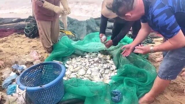 Утренний невод в Ниньчу с кальмаром и разбором мелочи