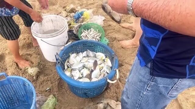 Утренний невод в Ниньчу с кальмаром и разбором мелочи