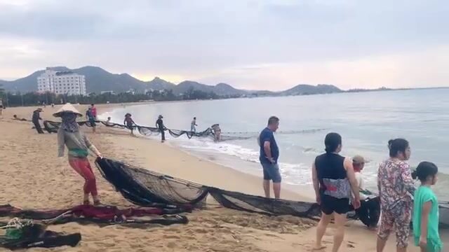 Утренний невод в Ниньчу с кальмаром и разбором мелочи