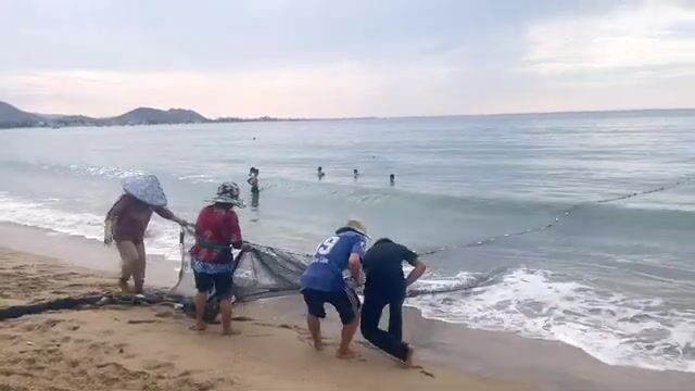 Утренний невод в Ниньчу с кальмаром и разбором мелочи