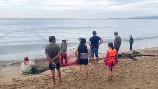 Утренний невод в Ниньчу с кальмаром и разбором мелочи