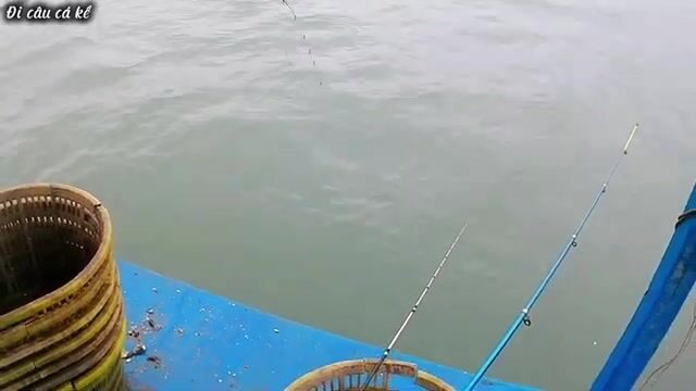 У Туанчау перебирали насадки и вытащили ската