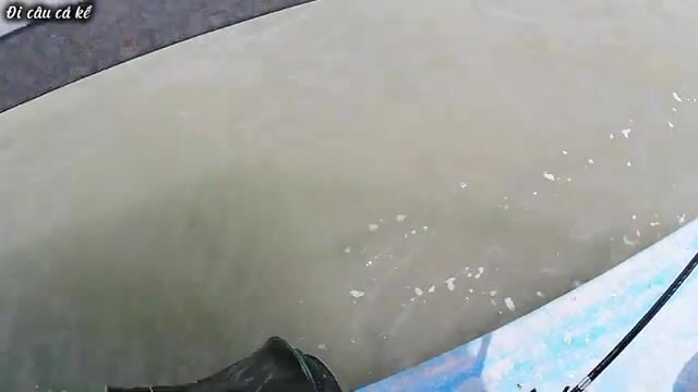 У Туанчау перебирали насадки и вытащили ската