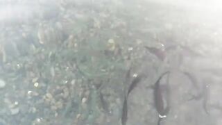 Сукко: утро у воды и короткий выход на черноморскую рыбалку