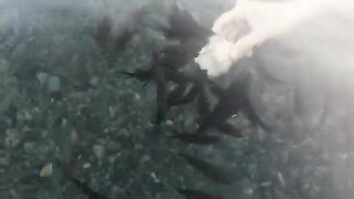 Сукко: утро у воды и короткий выход на черноморскую рыбалку