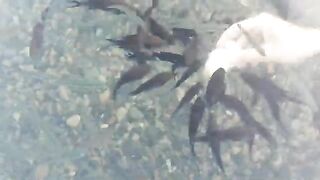 Сукко: утро у воды и короткий выход на черноморскую рыбалку
