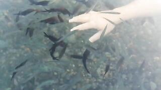Сукко: утро у воды и короткий выход на черноморскую рыбалку