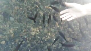 Сукко: утро у воды и короткий выход на черноморскую рыбалку