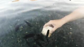 Сукко: утро у воды и короткий выход на черноморскую рыбалку