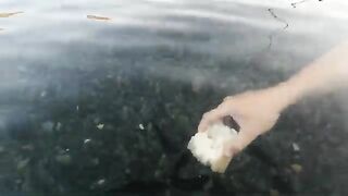 Сукко: утро у воды и короткий выход на черноморскую рыбалку