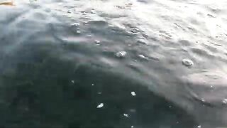 Сукко: утро у воды и короткий выход на черноморскую рыбалку