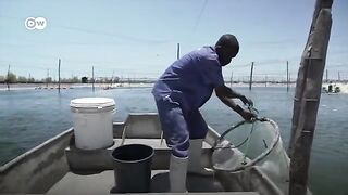 Мапуту: меняющееся море и продуманный рыболовный маршрут