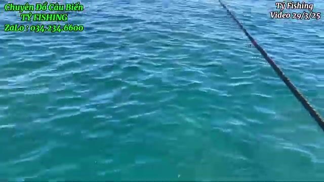 На скалах у Нёнли рвали поводки и поднимали рыбу