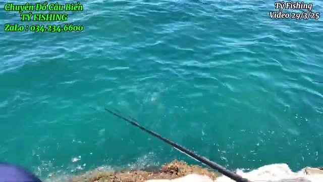 На скалах у Нёнли рвали поводки и поднимали рыбу