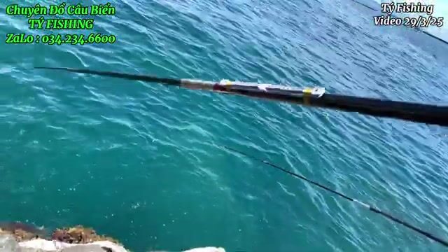 На скалах у Нёнли рвали поводки и поднимали рыбу