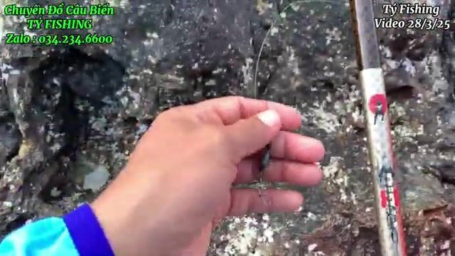 На скалах у Нёнли рвали поводки и поднимали рыбу