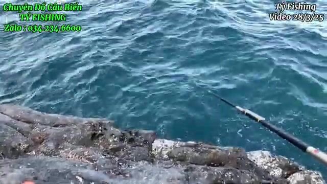 На скалах у Нёнли рвали поводки и поднимали рыбу