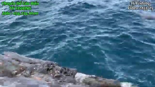 На скалах у Нёнли рвали поводки и поднимали рыбу