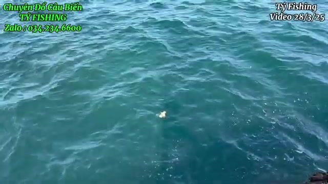 На скалах у Нёнли рвали поводки и поднимали рыбу