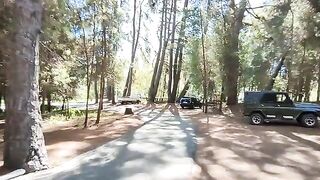 Цитрусовый совхоз, Абхазия: берег у «Сосновой рощи» и рыбалка