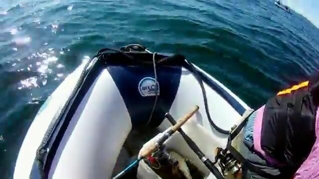 Камбала у мыса Вятлина на острове Русском