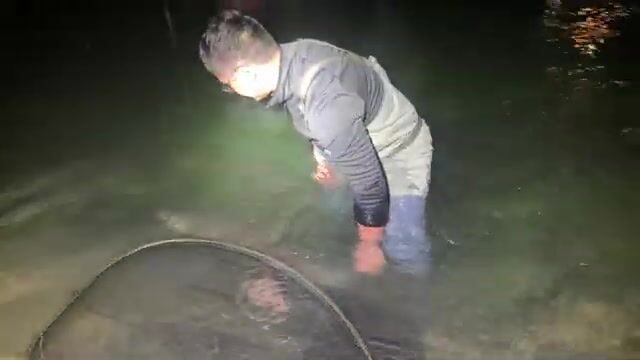 Пять дней в Словении за дунайским лососем и поимка на третий вечер