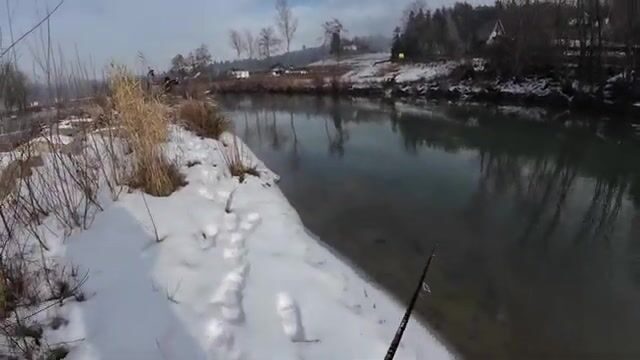 Пять дней в Словении за дунайским лососем и поимка на третий вечер