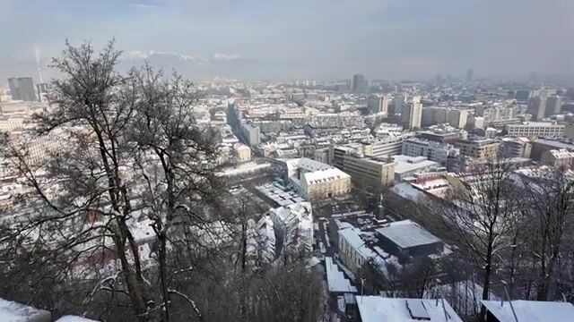 Пять дней в Словении за дунайским лососем и поимка на третий вечер