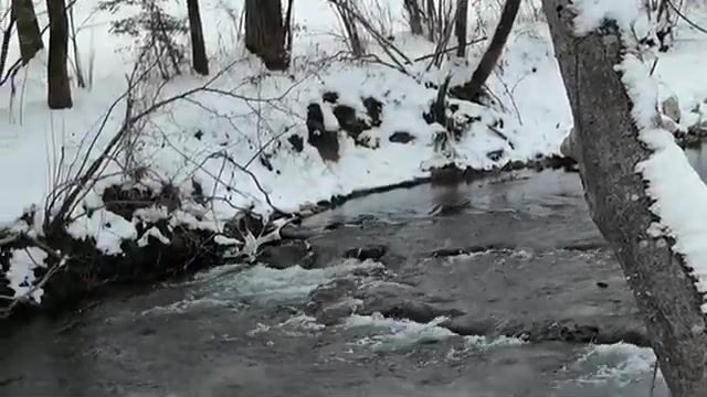 Пять дней в Словении за дунайским лососем и поимка на третий вечер