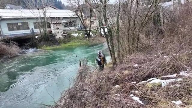 Пять дней в Словении за дунайским лососем и поимка на третий вечер