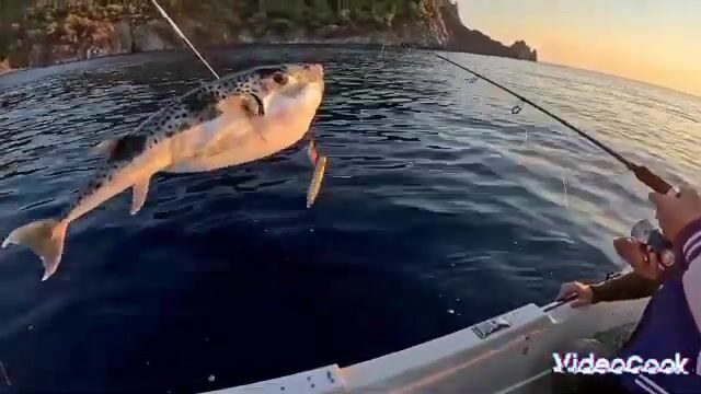 Морская рыбалка на мерджана в Чиралы