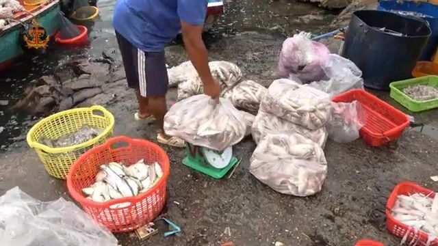 На берегу в Антхой смотрели свежий улов и ловушку на рыбью голову