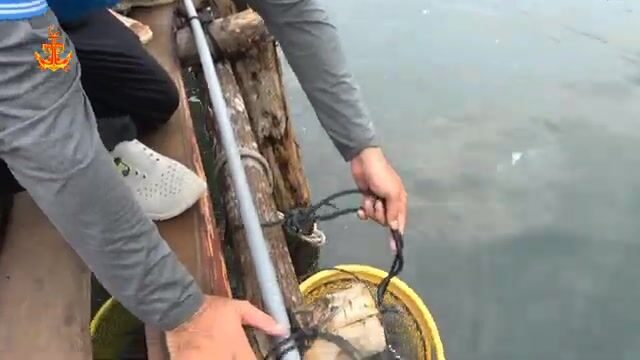 На берегу в Антхой смотрели свежий улов и ловушку на рыбью голову