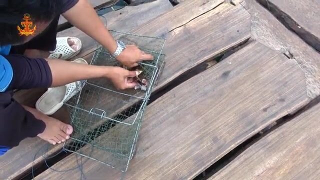 На берегу в Антхой смотрели свежий улов и ловушку на рыбью голову