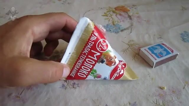 Достали краба из ловушки в Гячрыпше и заморозили его