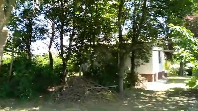 На старом русле реки в Сербии ловили сомиков и одного сазана