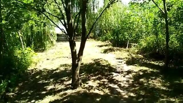 На старом русле реки в Сербии ловили сомиков и одного сазана