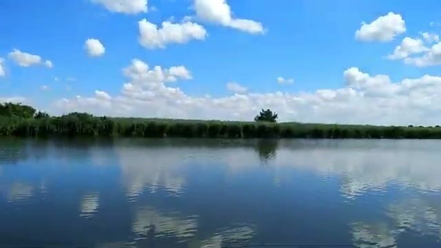 На старом русле реки в Сербии ловили сомиков и одного сазана