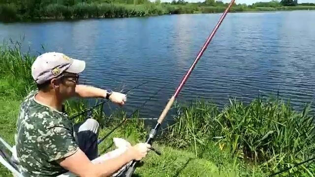 На старом русле реки в Сербии ловили сомиков и одного сазана