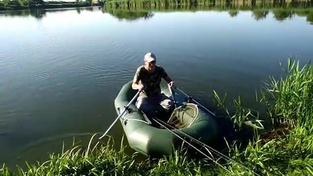На старом русле реки в Сербии ловили сомиков и одного сазана