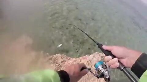 Береговая ловля в кораллах Красного моря в Судане