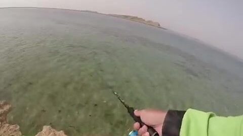 Береговая ловля в кораллах Красного моря в Судане